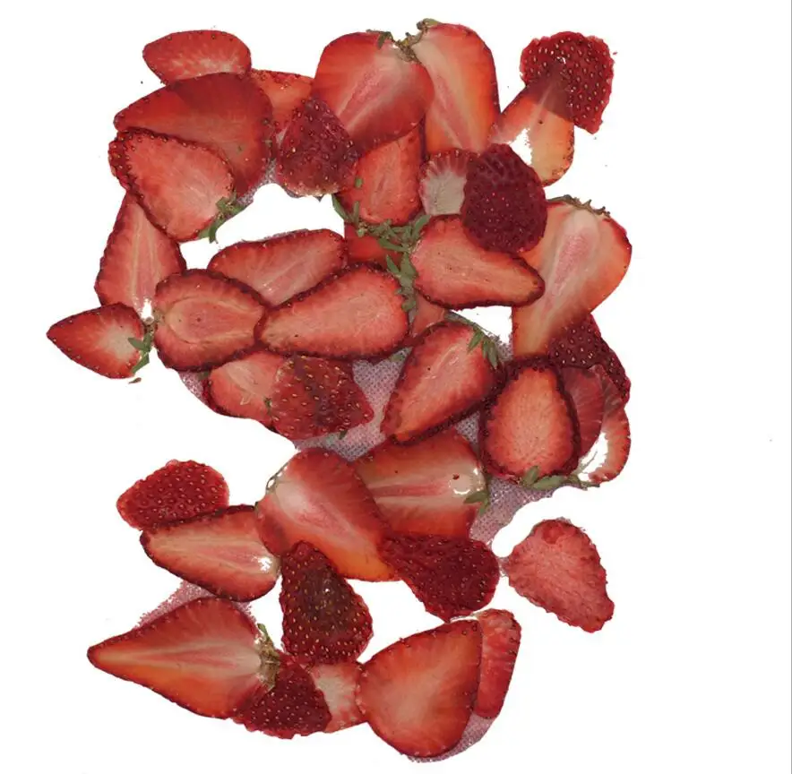 10tk Kuivatatud Pressitud Exopy Puu-Maasika Viilud Taimede Herbaarium Ehete Tegemise Postkaart Raami Telefoni Juhul Käsitöö DIY