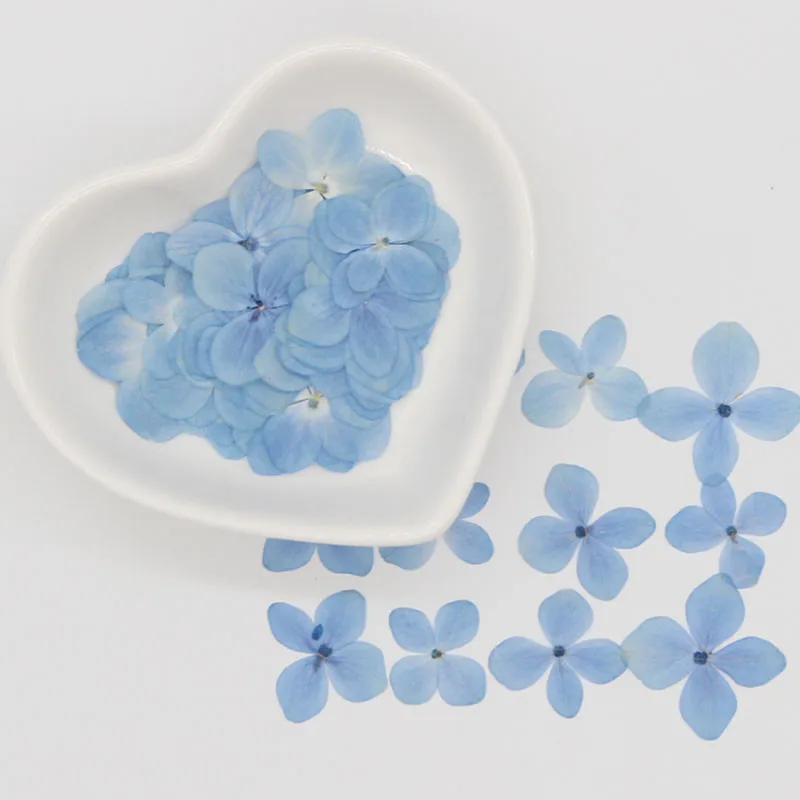 Originaal Sinine Hydrangea Kuivatatud Vajutage Lille Foto Raami Kaunistamiseks Hulgi Tasuta Saadetise 120Pcs