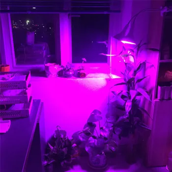 200/290 LED Taim Kasvada Valguse kasvav Lambi Täieliku Spektri phytolamp Flower Köögivilju growbox telk hydro Tuba cultivo siseruumides