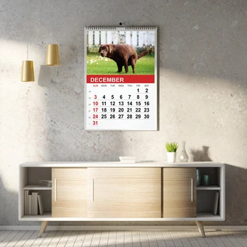 2021 Kalender Gag Kingitus Tüssata Koera Kaka Seinakalender Jant Laua Kalender Kodu Kaunistamiseks Ornament Igapäevased Toimingud