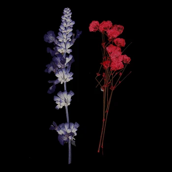 2x Mitu Pressitud Naturaalne Kuivatatud Lilled Pulm Kaardi Tegemise DIY Kunst Käsitöö
