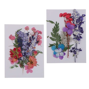 2x Mitu Pressitud Naturaalne Kuivatatud Lilled Pulm Kaardi Tegemise DIY Kunst Käsitöö