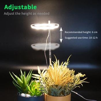 Füto Lamp Taimed USB LED Grow Light Phytolamp Orhideed Seemikud Lilled 5V Siseruumides Laua Täieliku Spektri Kasvu Valgustus