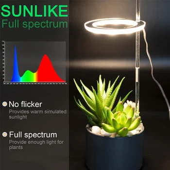 Füto Lamp Taimed USB LED Grow Light Phytolamp Orhideed Seemikud Lilled 5V Siseruumides Laua Täieliku Spektri Kasvu Valgustus