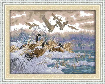 Lendavad linnud lumes päev ristpistes kit 18ct aida 14ct 11ct loota print lõuend õmblused, tikandid DIY käsitöö näputöö
