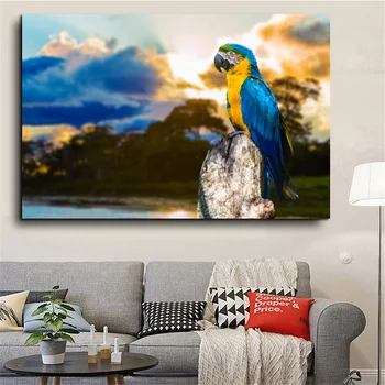 Loomade Pilte Papagoi Plakat Lõuendile Maali Seina Art Kodu Kaunistamiseks Maastiku Plakatid Pilve Ja Taeva Wall Decor Maalid