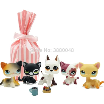 LPS CAT 5 tk/set pet shop armas mänguasjad alalise harv lühikesed juuksed kass väike koer saksa dogi loomade gifts106-2291-2249-339-750-PJZ10