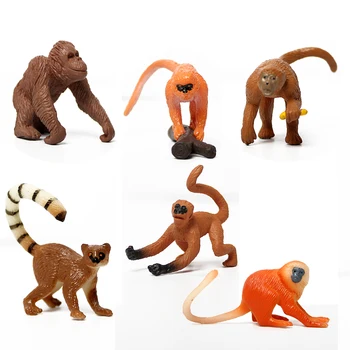 Metsloomade guenon,orangutang,aki,kuldne ahv,Ämblik Ahvid Mudeli rakendamine Arvandmed Loomade Kääbus Figuriin Mänguasi Lastele Kingitus
