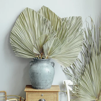 Palm Fänn Leht, Kuivatatud Lill Palm Leaf Aknas Vastuvõtu Poole Kunst Seina Riputamise Kaunistamiseks Pulmad Arch Kokkulepe