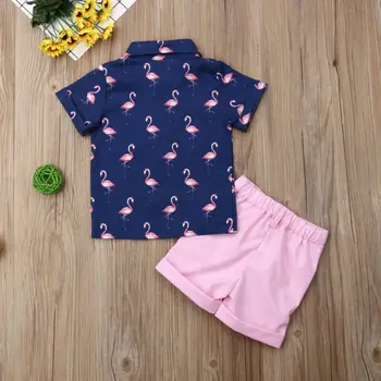 Teise lapse Beebi Poistele 1Y-6Y Suvel Flamingolased Tops T-särk, lühikesed Püksid 2TK Varustus ja Riided