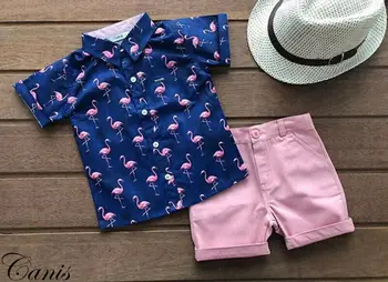 Teise lapse Beebi Poistele 1Y-6Y Suvel Flamingolased Tops T-särk, lühikesed Püksid 2TK Varustus ja Riided
