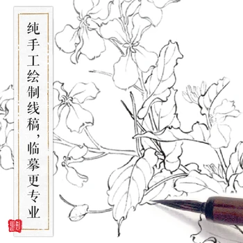Traditsiooniline Hiina Realistlik Maal-Raamat, Hiina Linnud ja Lilled Gongbi Joonistamine Tehnikat Raamat